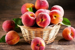 Nông dân các tỉnh miền núi phía Bắc trúng đậm trái 'vàng mùa hè', chị em đổ xô săn lùng với mức giá chỉ từ 15.000 đồng/kg