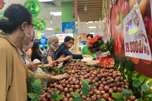 Bất ngờ với giá mận hậu vào mùa ở TPHCM