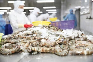 Bất ngờ về thủy sản Việt Nam xuất khẩu
