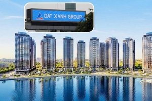 Đất Xanh và cuộc chơi tiền mặt: Khi kẻ 'sẵn đạn' đang chờ thời