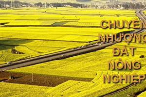 Theo Luật mới nhất, điều kiện chuyển nhượng đất nông nghiệp có sự thay đổi lớn