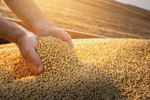 Trung Quốc ngừng nhập khẩu một mặt hàng từ Mỹ, một quốc gia bất ngờ hưởng lợi lớn khi đơn hàng tăng mạnh