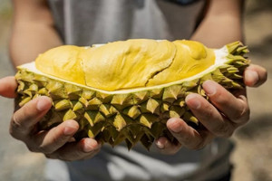 'Vua trái cây' Thái Lan đang trở thành hàng phổ thông tại Trung Quốc, giá lẻ rẻ hơn giá sỉ