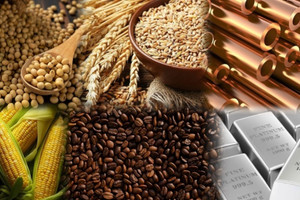 Ngân hàng Thế giới cắt giảm mạnh dự báo tăng trưởng kinh tế: Thị trường hàng hóa sẽ giảm tốc?