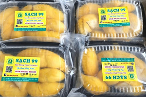 Đưa 2 tấn cơm sầu riêng bay thẳng ra Hải Phòng, Cần Thơ giải được bài toán đầu ra