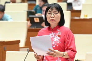Mức phạt quá cao so với khả năng chi trả có thể dẫn đến trốn tránh, tiêu cực
