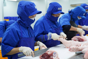 Bài toán thịt heo sạch ở BAF: Một cái chuồng – nhiều câu chuyện