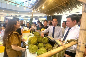 Người dân Hải Phòng đổ xô đi ăn sầu riêng sạch được ship thẳng bằng máy bay từ Cần Thơ ra