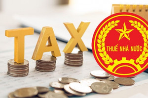 Cục Thuế tạm dừng hoạt động trong khoảng thời gian sau: Người dân lưu ý