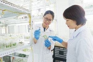 Ngành học đóng vai trò then chốt, ‘nóng’ không kém y, dược nhưng đang bị ‘ngó lơ’: Ra trường lương tới 30 triệu/tháng, vẫn hiếm sinh viên