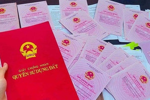 Từ bây giờ, muốn tách thửa phải làm thêm thủ tục nếu sổ đỏ không có sơ đồ thửa đất