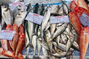 Không phải tôm hay cá basa, siêu thực phẩm Việt bất ngờ làm mưa làm gió ở Bồ Đào Nha