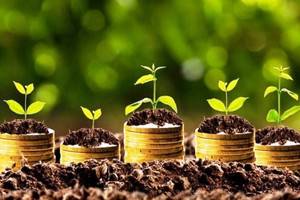 Lịch chốt quyền cổ tức bằng tiền tuần từ 16-20/6: Xuất hiện 9 doanh nghiệp thanh toán tỷ lệ hàng chục %