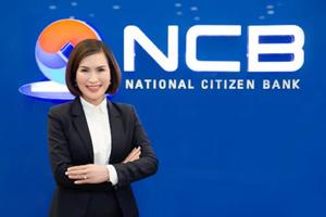Lộ diện 17 cá nhân chi 7.500 tỷ mua cổ phiếu một ngân hàng, dòng tiền sẽ được rót về Hải Phòng, Đà Nẵng...