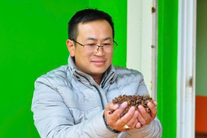 Nông dân Lâm Đồng linh hoạt dùng thứ bỏ đi của cây tỷ đô để thành thức uống, giá bán 800.000 đồng/kg: Sản xuất đến đâu được bao tiêu sạch