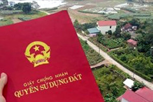15 tuổi có được đứng tên trên sổ đỏ: Sự thật khiến nhiều người bất ngờ