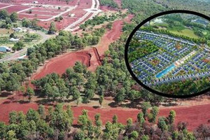 Số phận long đong của rừng thông hàng nghìn cây trong dự án sân golf giữa đại ngàn của chủ đầu tư lừng lẫy một thời