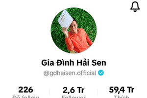Chủ kênh TikTok 'Gia đình Hải Sen' có hàng triệu người theo dõi bị bắt