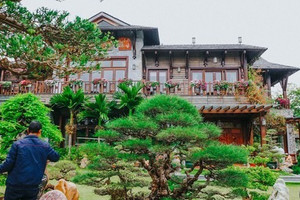 Lãnh đạo FPT sở hữu biệt thự rộng 3.000m2: Sân vườn là ‘rừng cổ thụ’ trăm tuổi cùng bộ sưu tập đá quý cực giá trị