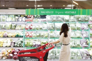 ĐBQH: Nếu có chiến lược đúng đắn và sự đồng hành chính sách, thương hiệu Việt Nam hoàn toàn có thể vươn xa như xe VinFast, gạo ST25