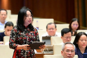 ĐBQH: Giá điện tăng 4 lần, lương tối thiểu vùng chỉ tăng 1 lần