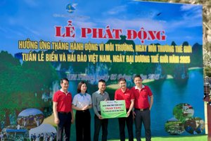 Cán bộ nhân viên SeABank chung tay làm sạch 11 bãi biển vì môi trường xanh
