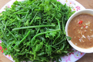 Loại rau mọc đầy rừng Việt Nam, tốt ngang nhân sâm, giá tương đương thịt bò loại ngon, người Trung Quốc săn lùng từng bó