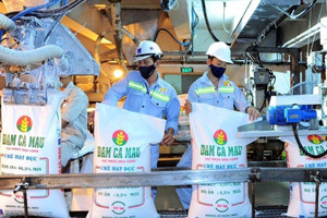 Đạm Cà Mau (DCM): Gần 1.100 tỷ đồng tiền cổ tức sắp về túi cổ đông