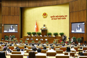 Khuyến khích doanh nhân tham gia quản lý Nhà nước, ứng cử vào Quốc hội