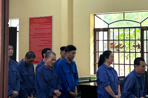 Tuyên án bà nội trợ Hoàng Thị Thanh Hương và chồng