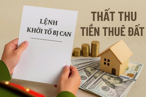 Gây thất thoát lớn vì không thu tiền thuê đất, nguyên Chủ tịch doanh nghiệp bị khởi tố