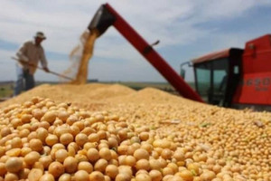 Nếu Trung Quốc giảm nhập khẩu 1 mặt hàng, áp lực không chỉ dồn lên nông dân Mỹ mà còn hàng loạt thị trường lớn bị ảnh hưởng