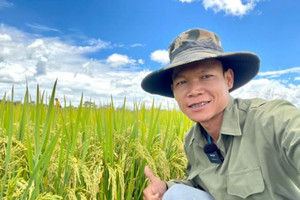 Giám đốc Sở Nông nghiệp Huambo - Angola đích thân đến khảo sát mô hình trồng lúa nước của team châu Phi