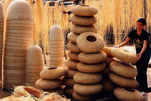Bắt trend sống xanh, loài cây mọc khắp Việt Nam thành 'vàng ròng', chinh phục Mỹ - Nhật - châu Âu