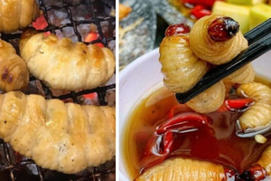 Đặc sản Cà Mau trông sợ 'chết khiếp' nhưng hương vị 'có một không hai', càng ăn càng nghiện: Giá đắt đỏ vẫn được săn lùng