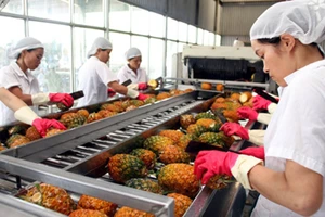 Vì sao Việt Nam tăng nhập khẩu nông sản?