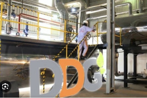 Trái chủ yêu cầu xử lý tài sản đảm bảo lô trái phiếu 300 tỷ của Đông Dương (DDG), bên quản lý là Vietcombank (VCB)