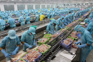 Thuế Mỹ 46% đe dọa 4 triệu lao động ngành thủy sản, VASEP cầu viện Chính phủ khi thời hạn 90 ngày đàm phán sắp hết