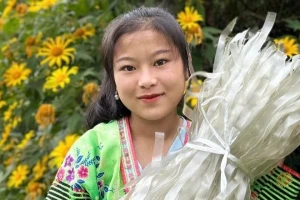 TikToker Việt lao đao