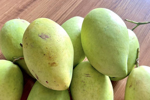 5 loại trái cây mùa hè tốt nhất