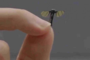 Trung Quốc trình làng drone nhỏ như muỗi, bay không ai phát hiện