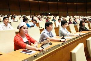 Quốc hội 'chốt' tổ chức, bộ máy mới của tòa án và viện kiểm sát