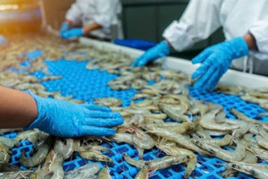 Mỹ, Trung đua nhau săn mỏ vàng Việt Nam: Nước ta thu về 1,7 tỷ USD, tiến sát ngôi 'ông trùm' thế giới!