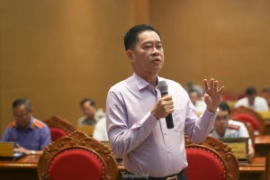 Vì sao doanh nghiệp ở Bình Định ồ ạt dừng hoạt động, giải thể?