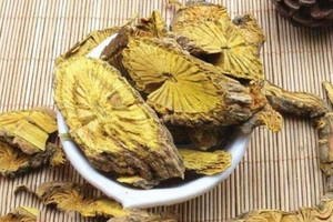 Hà Nội thu hồi khẩn lô dược liệu Hoàng Đằng do 'vi phạm chất lượng mức độ 1' sản xuất tại nhà máy ở cụm công nghiệp Minh Lãng, Thái Bình
