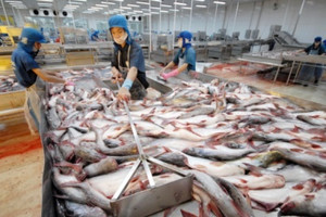 Tăng tốc xuất khẩu vào Mỹ trước thời hạn áp thuế đối ứng, một doanh nghiệp thuỷ sản được dự báo lãi tăng 1.000%
