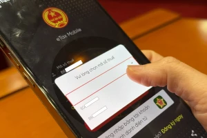 Sắp hết cảnh một người tự dưng có 2 mã số thuế