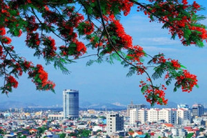 Một thành phố ở miền Bắc sẽ có Khu thương mại tự do