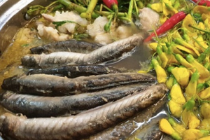 Từ 'cá nhà nghèo' thành đặc sản hút khách: Phơi khô bán 700.000 đồng/kg, dân phố thích mê vì vị ngon lạ