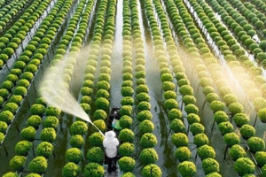 Ngành học từng bị định kiến ‘chân lấm tay bùn’, nay đang thiếu nhân lực trầm trọng: Lương cao chót vót, tiên phong trong xu thế AI lên ngôi